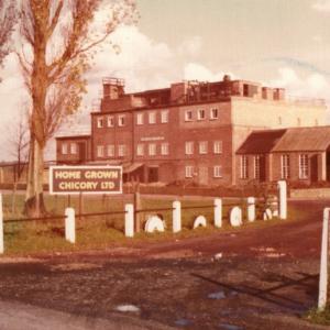 0091B Chicory Factory 1970s