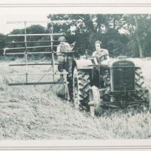 0009P Land Girls Harvesting Chivers Farm Lakenheath 1939