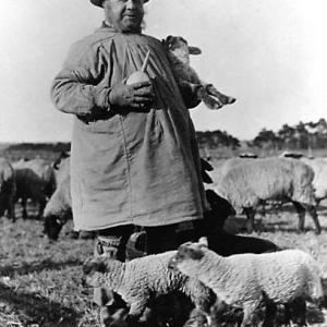 0015P Mr Challis the last Shepherd of Lakenheath