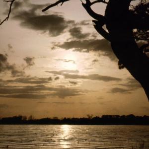 0065PL Sunset near Peterhouse Farm Undley