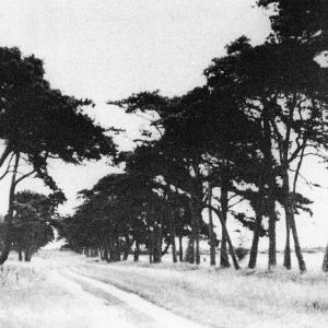 0089PL Looking down Broom Road Lakenheath