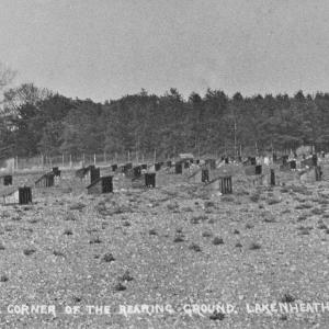 0092PL Flatts rearing ground now Wingfield Avenue Lakenheath