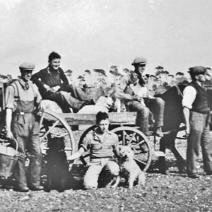 0093PL Flatts field now Wingfield Avenue Lakenheath c 1935